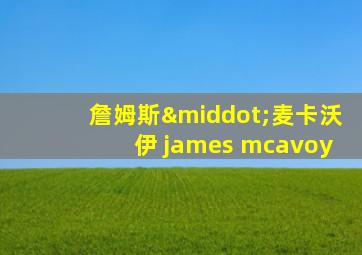 詹姆斯·麦卡沃伊 james mcavoy